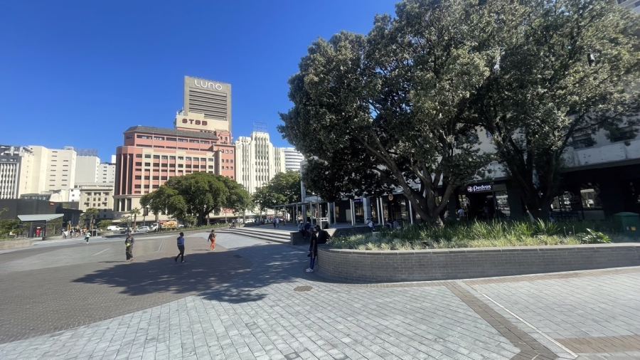 To Let commercial Property for Rent in Cape Town City Centre Western Cape